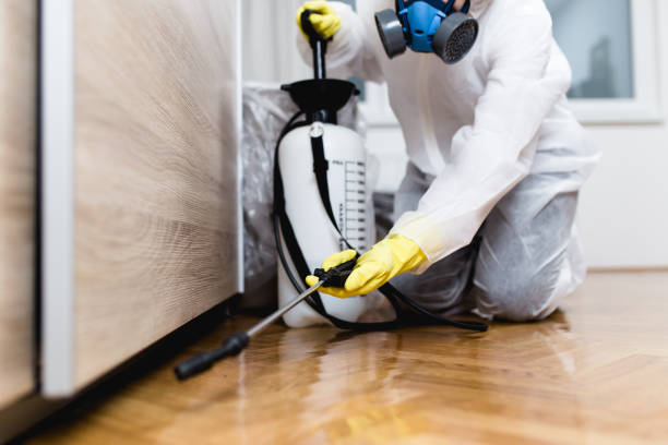 Best Pest Inspection Near Me  in Byron Center, MI