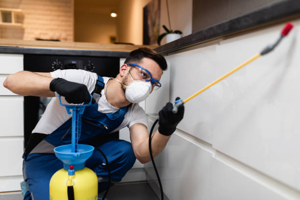 Best Local Pest Control Services  in Byron Center, MI