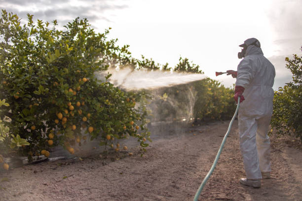Best Affordable Pest Control Services  in Byron Center, MI