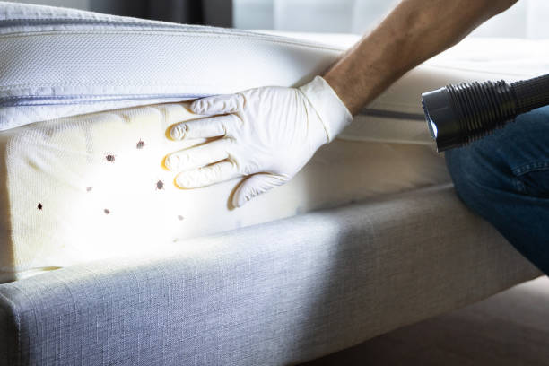 Best Pest Control Near Me  in Byron Center, MI