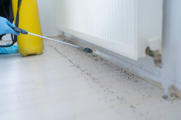  Byron Center, MI Pest Control Pros